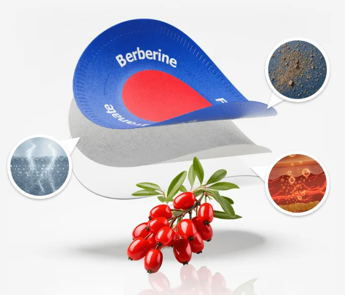 Purisaki Berberine New Improved Formula Patch
